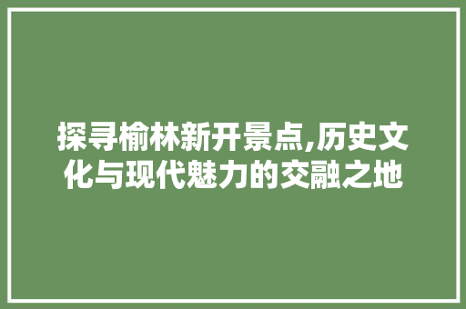 探寻榆林新开景点,历史文化与现代魅力的交融之地