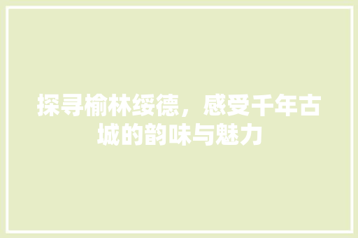 探寻榆林绥德，感受千年古城的韵味与魅力