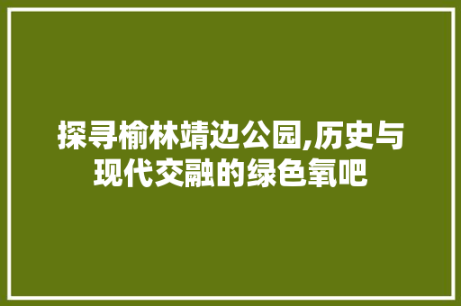 探寻榆林靖边公园,历史与现代交融的绿色氧吧