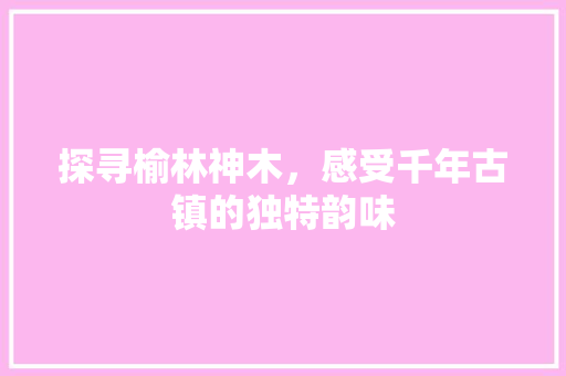 探寻榆林神木，感受千年古镇的独特韵味