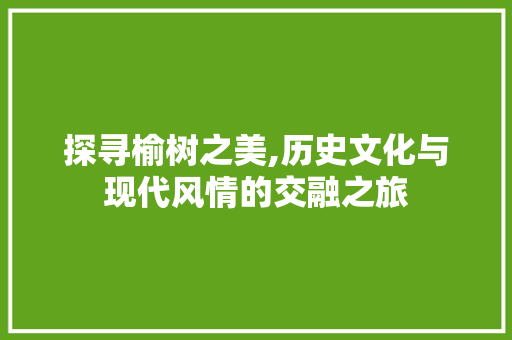 探寻榆树之美,历史文化与现代风情的交融之旅