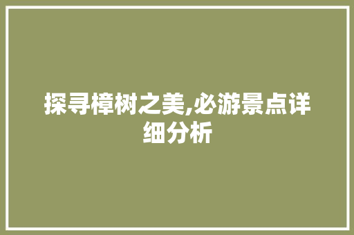 探寻樟树之美,必游景点详细分析