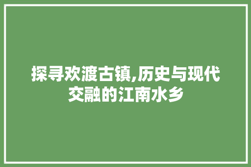 探寻欢渡古镇,历史与现代交融的江南水乡