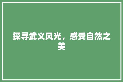 探寻武义风光，感受自然之美