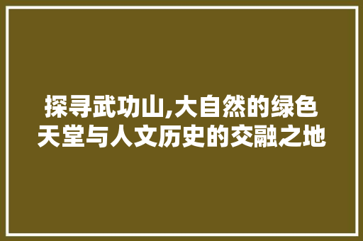 探寻武功山,大自然的绿色天堂与人文历史的交融之地