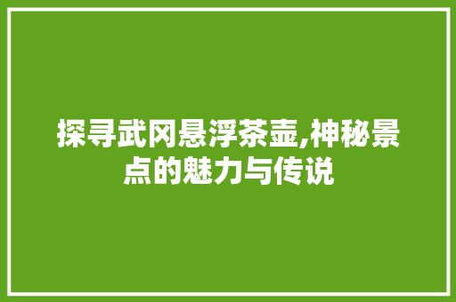 探寻武冈悬浮茶壶,神秘景点的魅力与传说