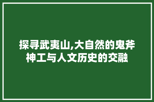 探寻武夷山,大自然的鬼斧神工与人文历史的交融