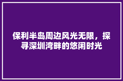 保利半岛周边风光无限，探寻深圳湾畔的悠闲时光