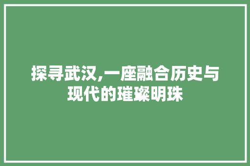 探寻武汉,一座融合历史与现代的璀璨明珠