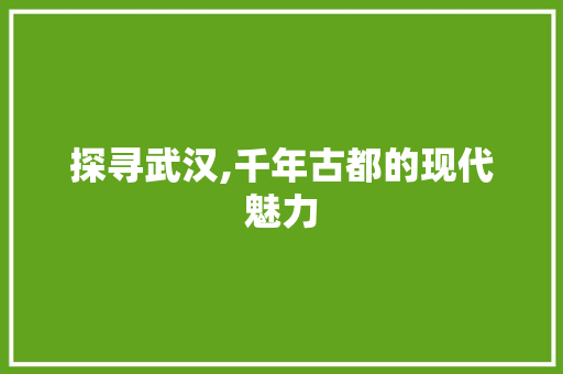 探寻武汉,千年古都的现代魅力