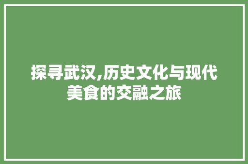 探寻武汉,历史文化与现代美食的交融之旅