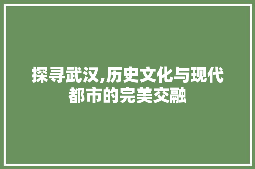 探寻武汉,历史文化与现代都市的完美交融