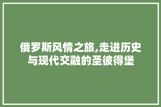 俄罗斯风情之旅,走进历史与现代交融的圣彼得堡