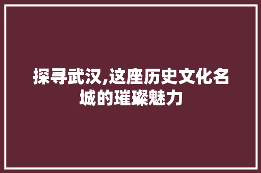 探寻武汉,这座历史文化名城的璀璨魅力