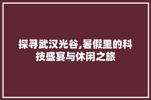 探寻武汉光谷,暑假里的科技盛宴与休闲之旅