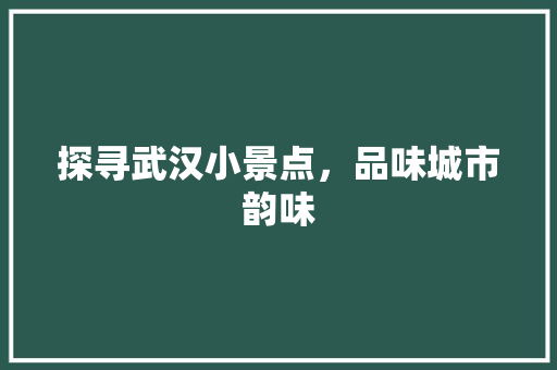 探寻武汉小景点，品味城市韵味