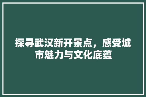 探寻武汉新开景点，感受城市魅力与文化底蕴