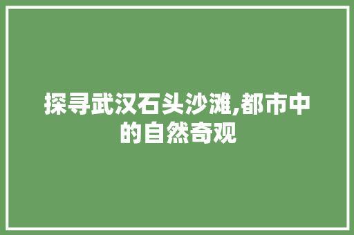 探寻武汉石头沙滩,都市中的自然奇观