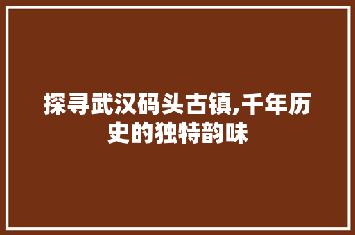 探寻武汉码头古镇,千年历史的独特韵味