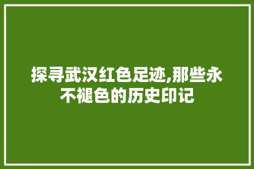 探寻武汉红色足迹,那些永不褪色的历史印记