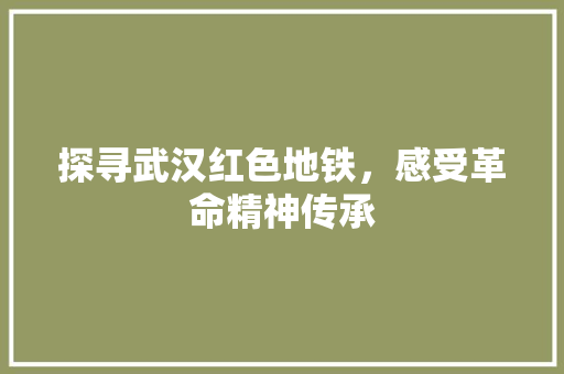 探寻武汉红色地铁，感受革命精神传承