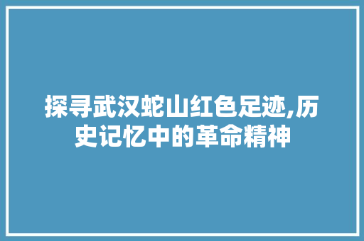 探寻武汉蛇山红色足迹,历史记忆中的革命精神