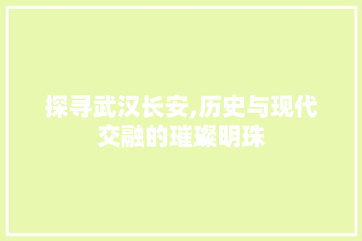 探寻武汉长安,历史与现代交融的璀璨明珠