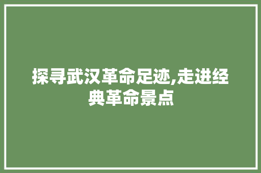 探寻武汉革命足迹,走进经典革命景点