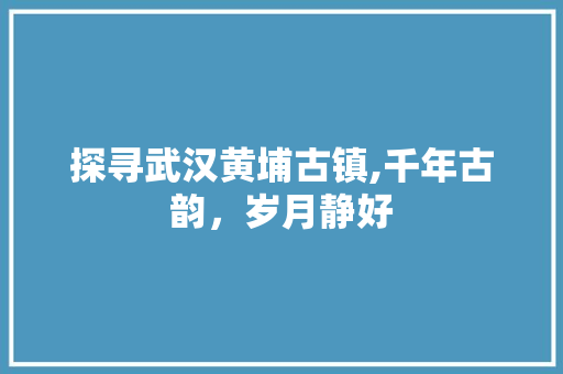 探寻武汉黄埔古镇,千年古韵，岁月静好