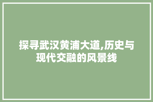 探寻武汉黄浦大道,历史与现代交融的风景线