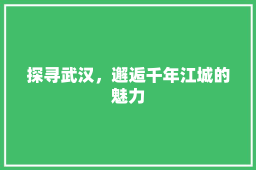 探寻武汉，邂逅千年江城的魅力