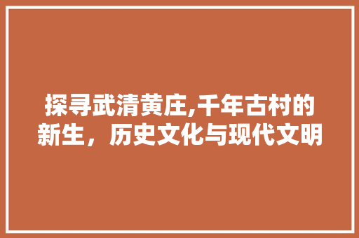 探寻武清黄庄,千年古村的新生，历史文化与现代文明的交融