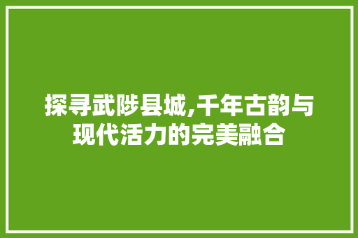 探寻武陟县城,千年古韵与现代活力的完美融合