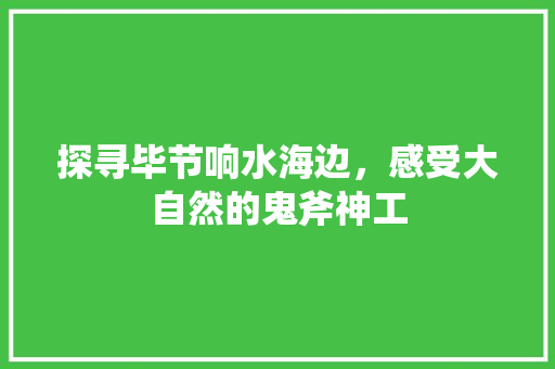 探寻毕节响水海边，感受大自然的鬼斧神工