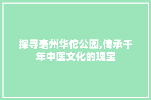 探寻毫州华佗公园,传承千年中医文化的瑰宝