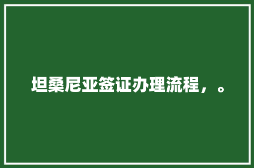 坦桑尼亚签证办理流程，。