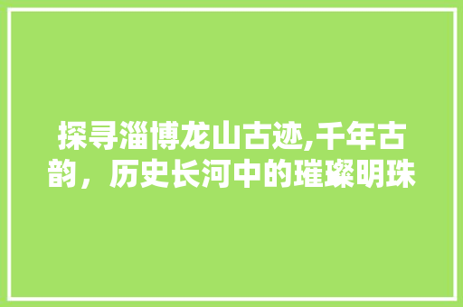 探寻淄博龙山古迹,千年古韵，历史长河中的璀璨明珠