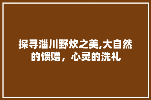 探寻淄川野炊之美,大自然的馈赠，心灵的洗礼