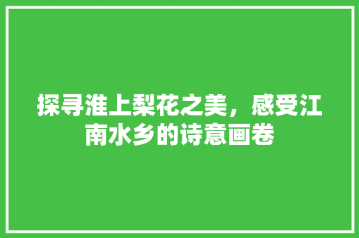 探寻淮上梨花之美，感受江南水乡的诗意画卷