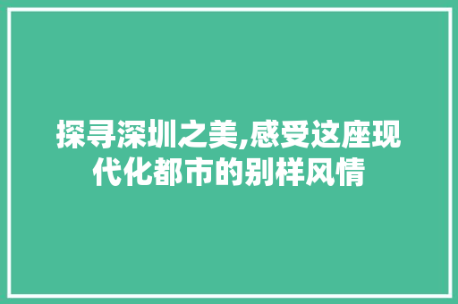 探寻深圳之美,感受这座现代化都市的别样风情