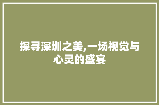 探寻深圳之美,一场视觉与心灵的盛宴