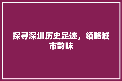 探寻深圳历史足迹，领略城市韵味