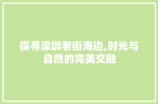 探寻深圳老街海边,时光与自然的完美交融