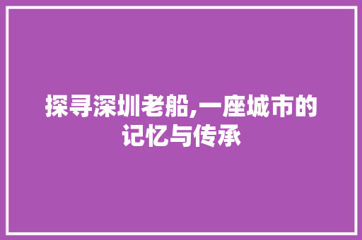 探寻深圳老船,一座城市的记忆与传承