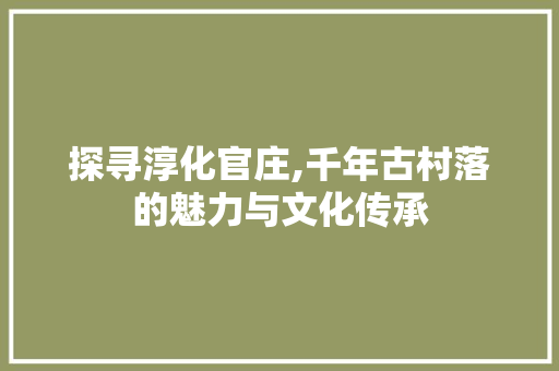 探寻淳化官庄,千年古村落的魅力与文化传承