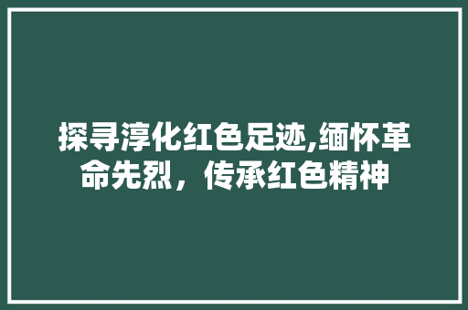 探寻淳化红色足迹,缅怀革命先烈，传承红色精神