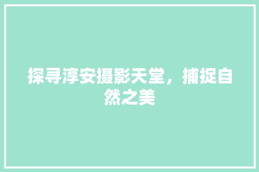 探寻淳安摄影天堂，捕捉自然之美