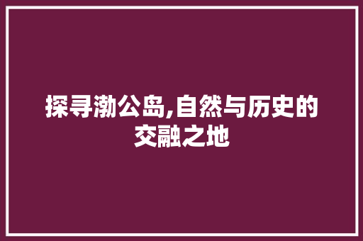 探寻渤公岛,自然与历史的交融之地