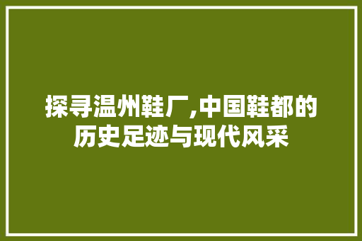 探寻温州鞋厂,中国鞋都的历史足迹与现代风采