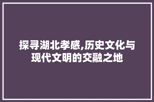 探寻湖北孝感,历史文化与现代文明的交融之地